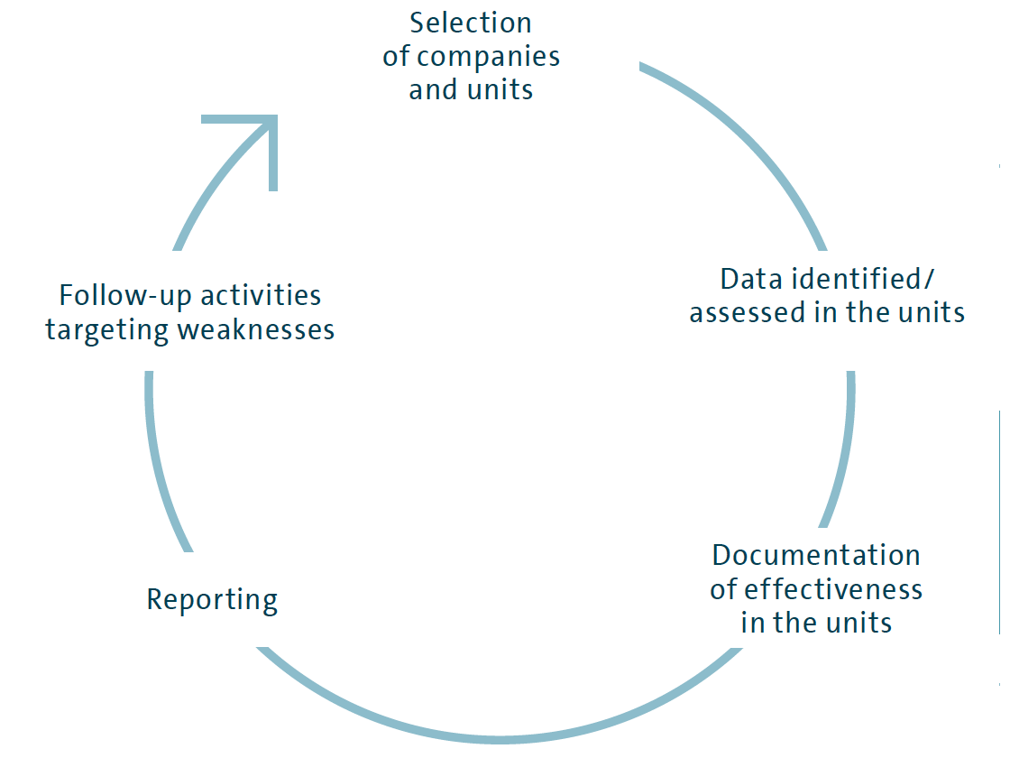 Annual standard governance, risk and compliance process (graphic)