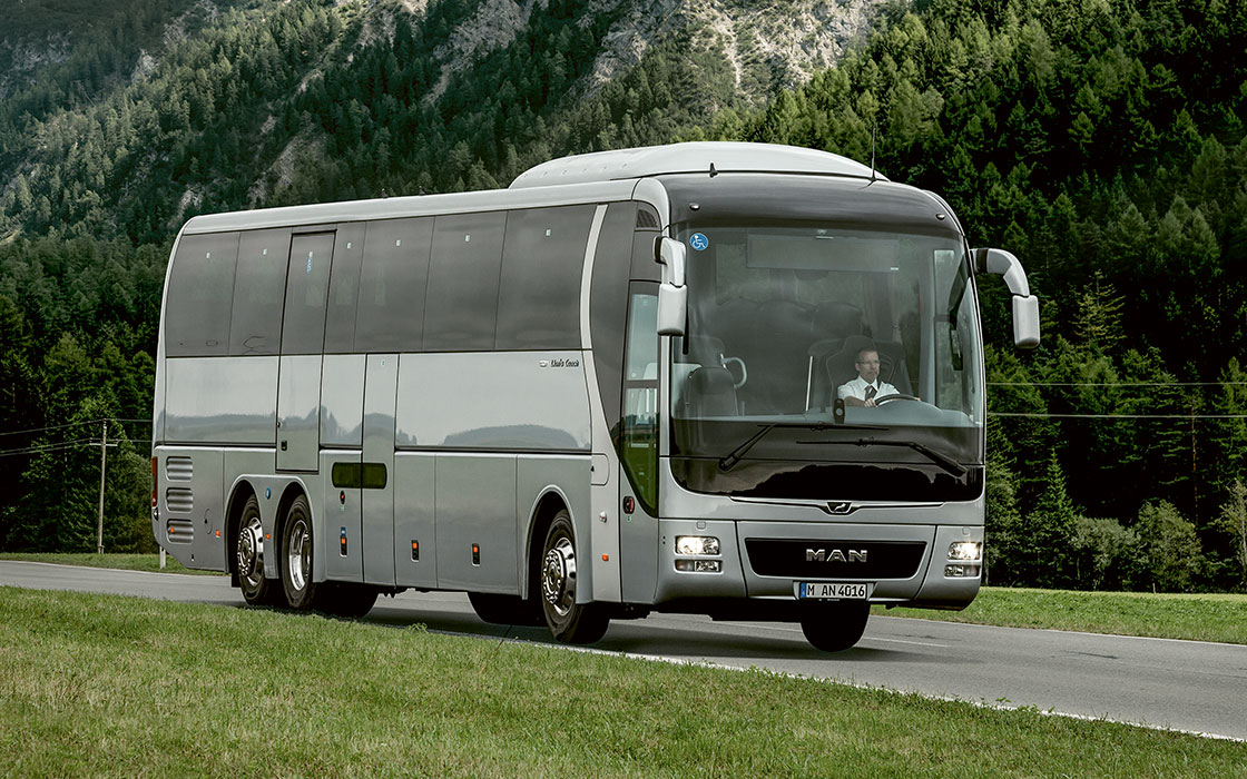 Lion&rsquo;s Coach