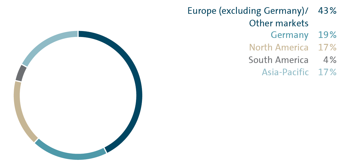 Share of sales revenue by market 2017 (pie chart)