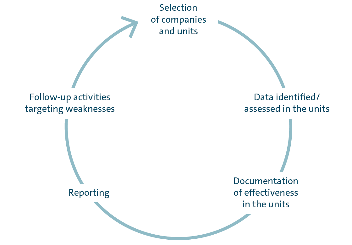 Annual standard governance, risk and compliance process (graphic)