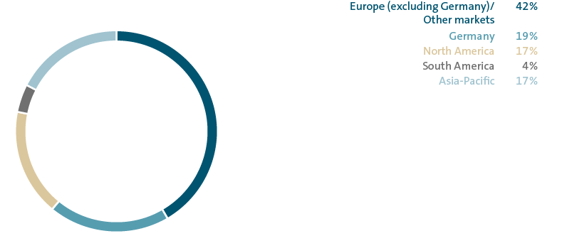 Share of sales revenue by market 2019 (pie chart)
