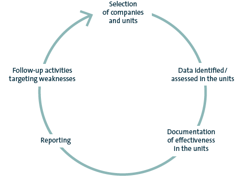 Annual standard governance, risk and compliance process (graphic)