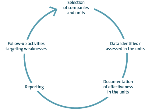 Annual standard governance, risk and compliance process (graphic)