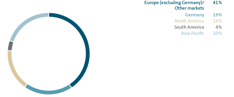 Share of sales revenue by market 2020 (pie chart)