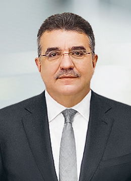 Dr. rer. pol. h.c. Francisco Javier Garcia Sanz (Foto)