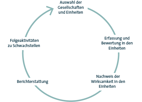 J&auml;hrlicher Governance, Risk & Compliance-Regelprozess (Grafik)