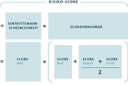 Ermittlung Risiko Score (Grafik)