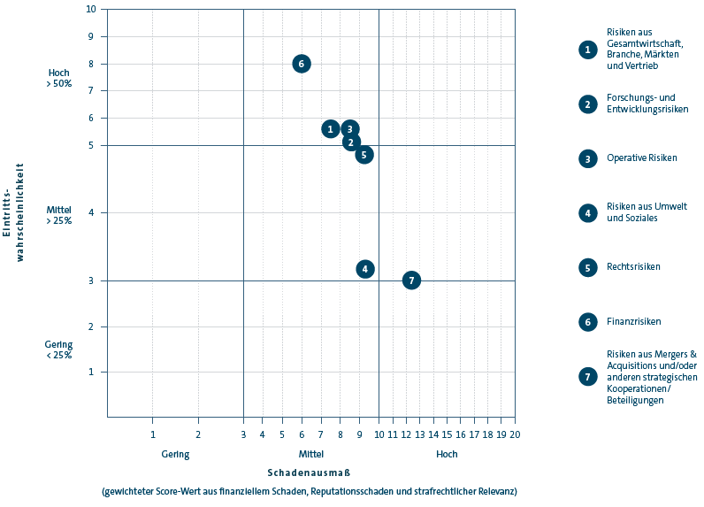 Durchschnittliche Score-Werte der Risikokategorien (Grafik)